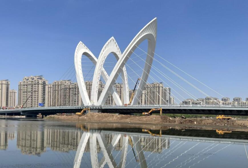 國内(nèi)首座碳(tàn)纖維斜(xié)拉索車(che)行橋—聊(liao)城興華(hua)路跨徒(tu)駭河大(da)橋通車(che)